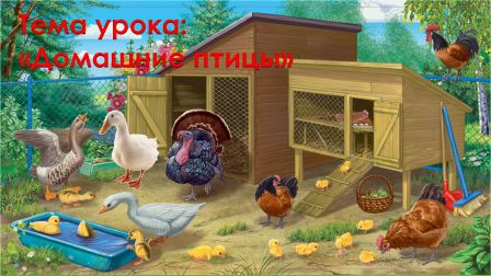 Рисунок1.jpg